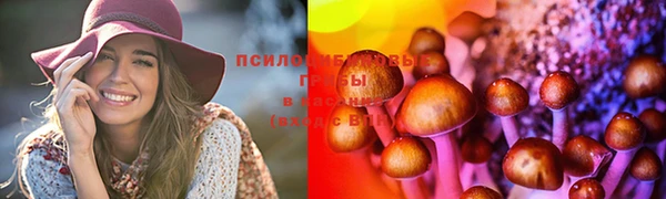 COCAINE Медвежьегорск