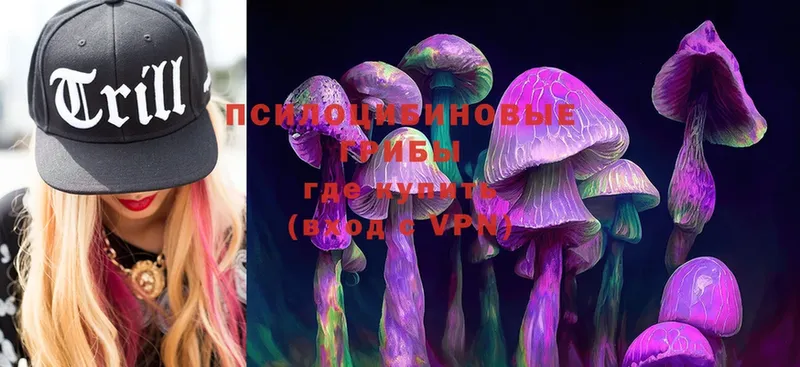 Галлюциногенные грибы Magic Shrooms  Нерехта 